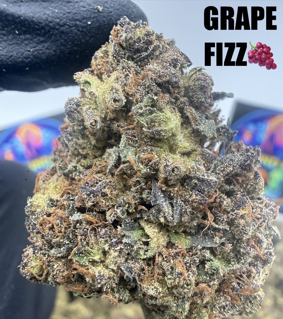 GRAPE FIZZ Slide 2